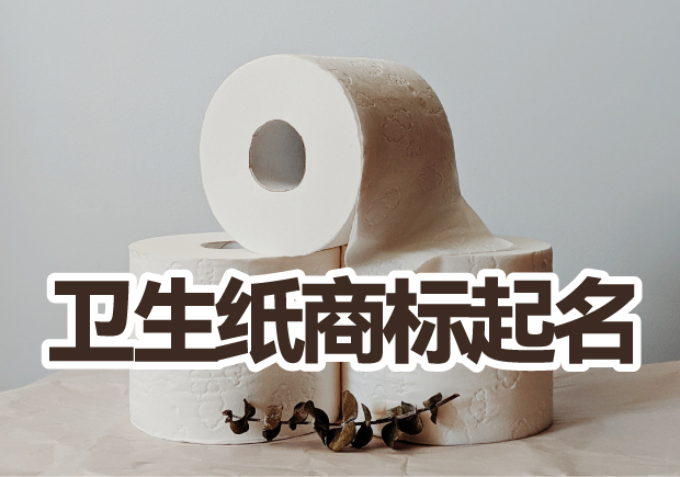 衛(wèi)生紙商標起名的藝術(shù)：尋找品牌個性與傳承